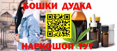 МДПВ Камышлов