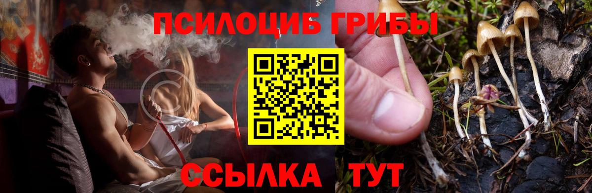 Краснодар  Псилоцибиновые грибы мухоморы  Вход с VPN  закладки  Галлюциногенные грибы Cubensis 